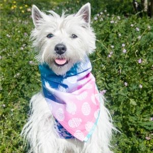 KW Bandanas Easter Egg bandana